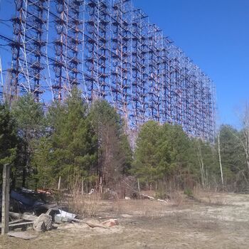 strom Les stromy krajina