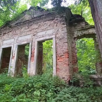 ruins of the blue house