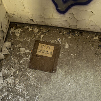 Ich habe gehört, es sei ein Krankenhaus für geistig behinderte Kinder.