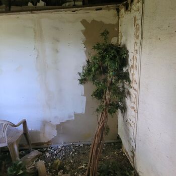 Dům v Praze obklopen šípky.