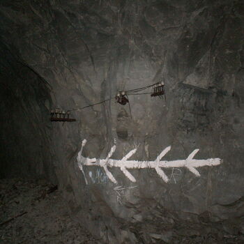 Richard Underground Factory