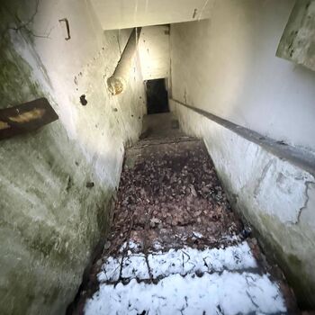 Die Geheimtür ist entdeckt worden...