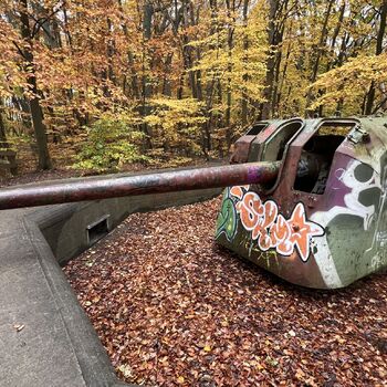 Cannons and bunkers Poland 2025