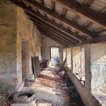 🐕‍🦺POZOR BAD DOG