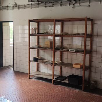 Schule in der Natur_2025