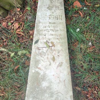 Old Jewish cemetery Old Jewish cemetery