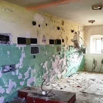 KINO (od ,,Roberta,,)