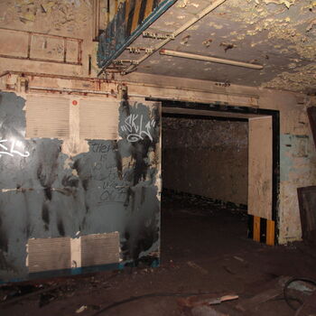 Maple 52 with swimming pool