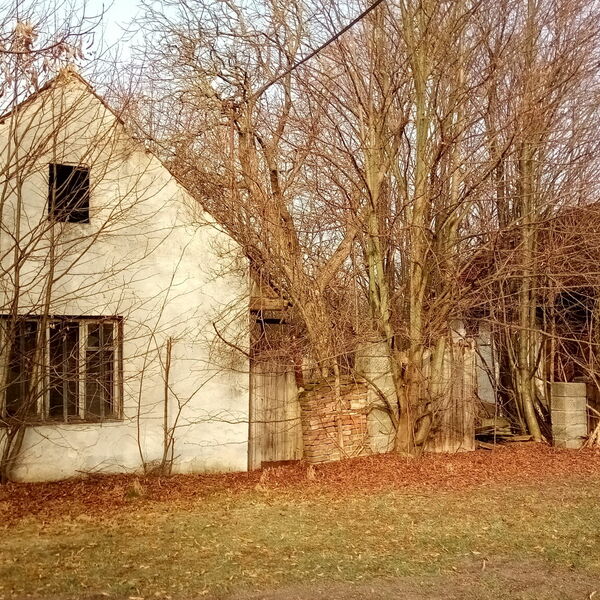 Opuštěný dům 2021