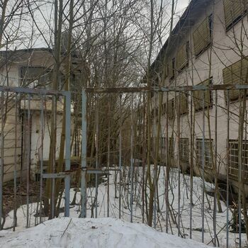 sníh počasí zima skleníkové budova studené Les stromy