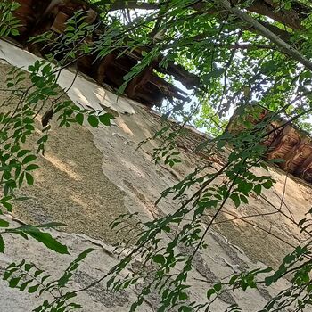 pivovar - koukni na video..