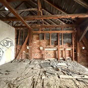 Aunt Omega, or I Believe in Fairies