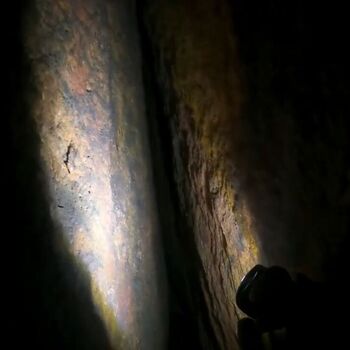 Schmale Galerie-Kletterpflanzen