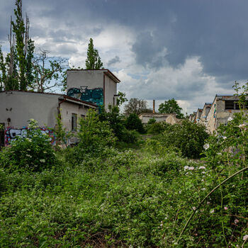Landwirtschaftliche Fläche