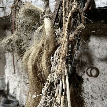 Abandoned Farmer's house