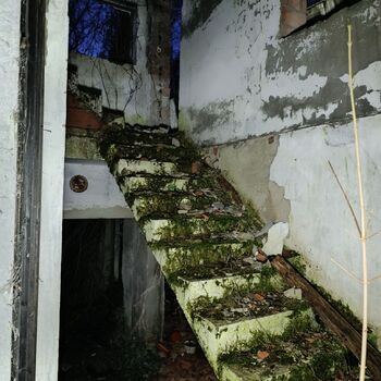 Das Haus der ermordeten Schauspielerin 💀 Das Haus der ermordeten Schauspielerin 💀