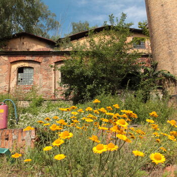 The oldest pulp and paper mill in the monarchy The oldest pulp and paper mill in the monarchy