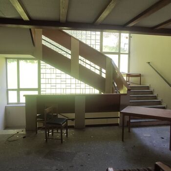 Die Schönheit der österreichischen hor🇦🇹🏔️❤️ Die Schönheit der österreichischen hor🇦🇹🏔️❤️