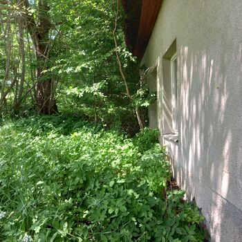 Hospitality at the trabanta