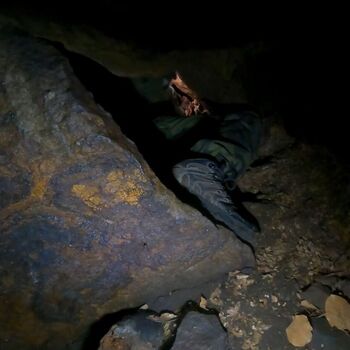 Schmale Galerie-Kletterpflanzen