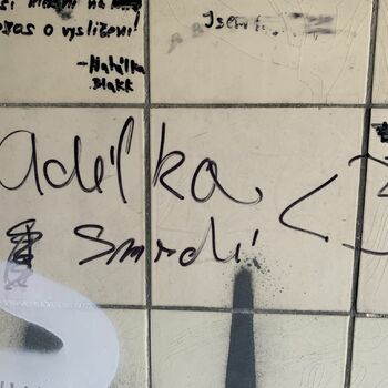 toaletní papír papír tkáň sgrafity