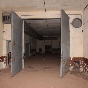 VEGA Group VEGA Group