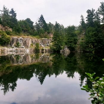 strom bažina řeka krajina voda jezero Les mokřadní země strom bažina řeka krajina voda jezero Les mokřadní země