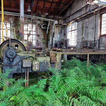 Mechová kovárna Mechová kovárna