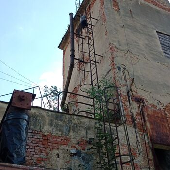 The abandoned sawmill