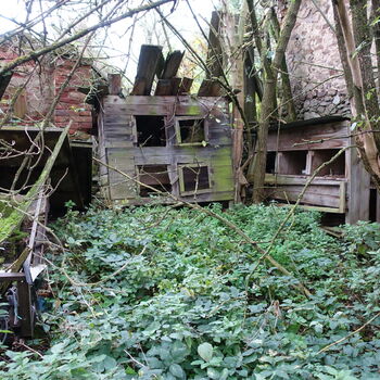 Dům u čarodějnice