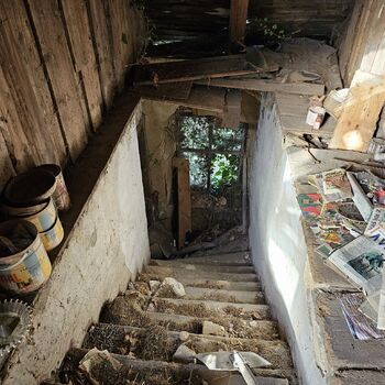 Das Haus beim Plüschtier.