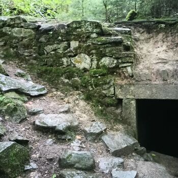 ruins of the blue house