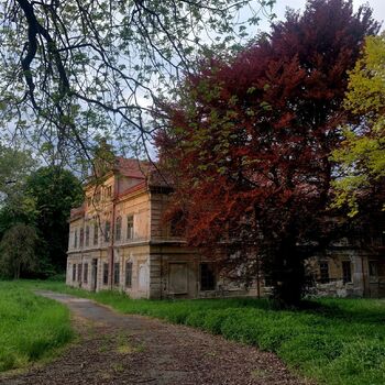 Verlassenes Schloss I. Verlassenes Schloss I.