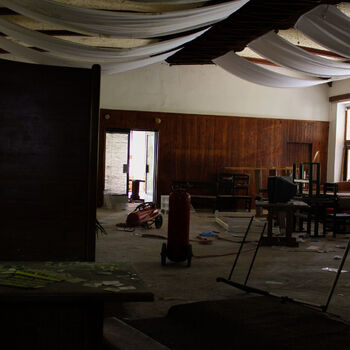 Schimmel für das Mittagessen