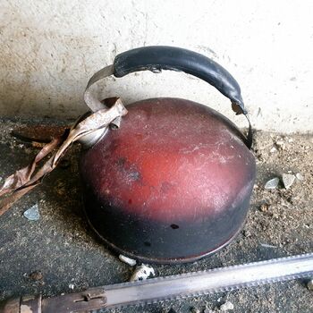 Obst Gemüse Zuckerrüben