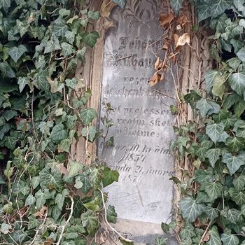 Friedhof 2022 Friedhof 2022