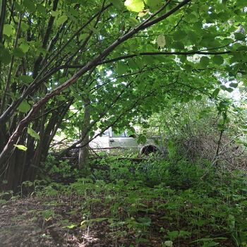 The house by the old vermin factory