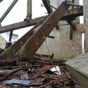 Panský dvůr 2023 Panský dvůr 2023