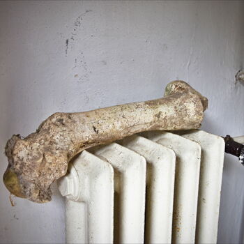 radiátor mechanismus zařízení