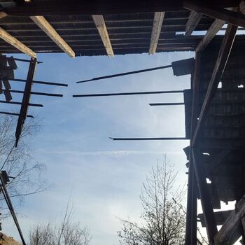 🐕‍🦺POZOR BAD DOG