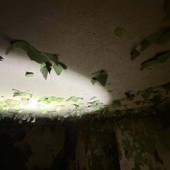 Die Geheimtür ist entdeckt worden...