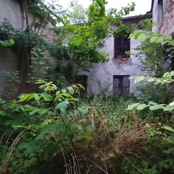 das Schloss, das jeder kennt...