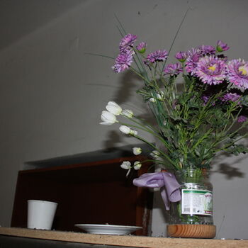 Wo ist der Graf geblieben? Das verlassene Schloss