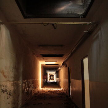 Sudeten German Wool Spinning Plant 2023 Sudeten German Wool Spinning Plant 2023