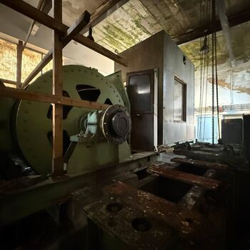 hory, DOLY, černý pes