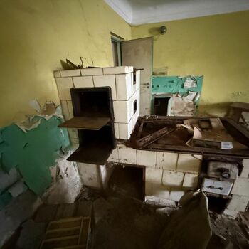 DDT, or the crocodile wasn't home