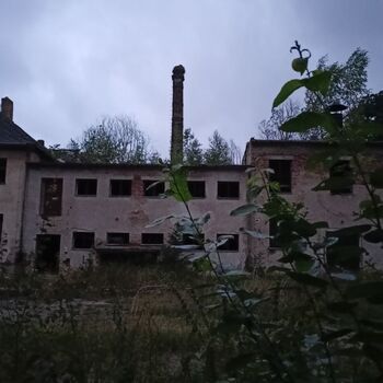 das Schloss, das jeder kennt...