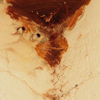 Eisenbahnregiment Casino Eisenbahnregiment Casino