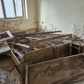 Das Haus beim Plüschtier.