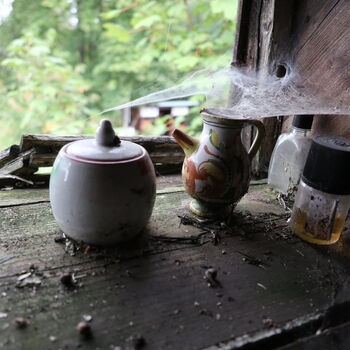 A grove in the borderlands.